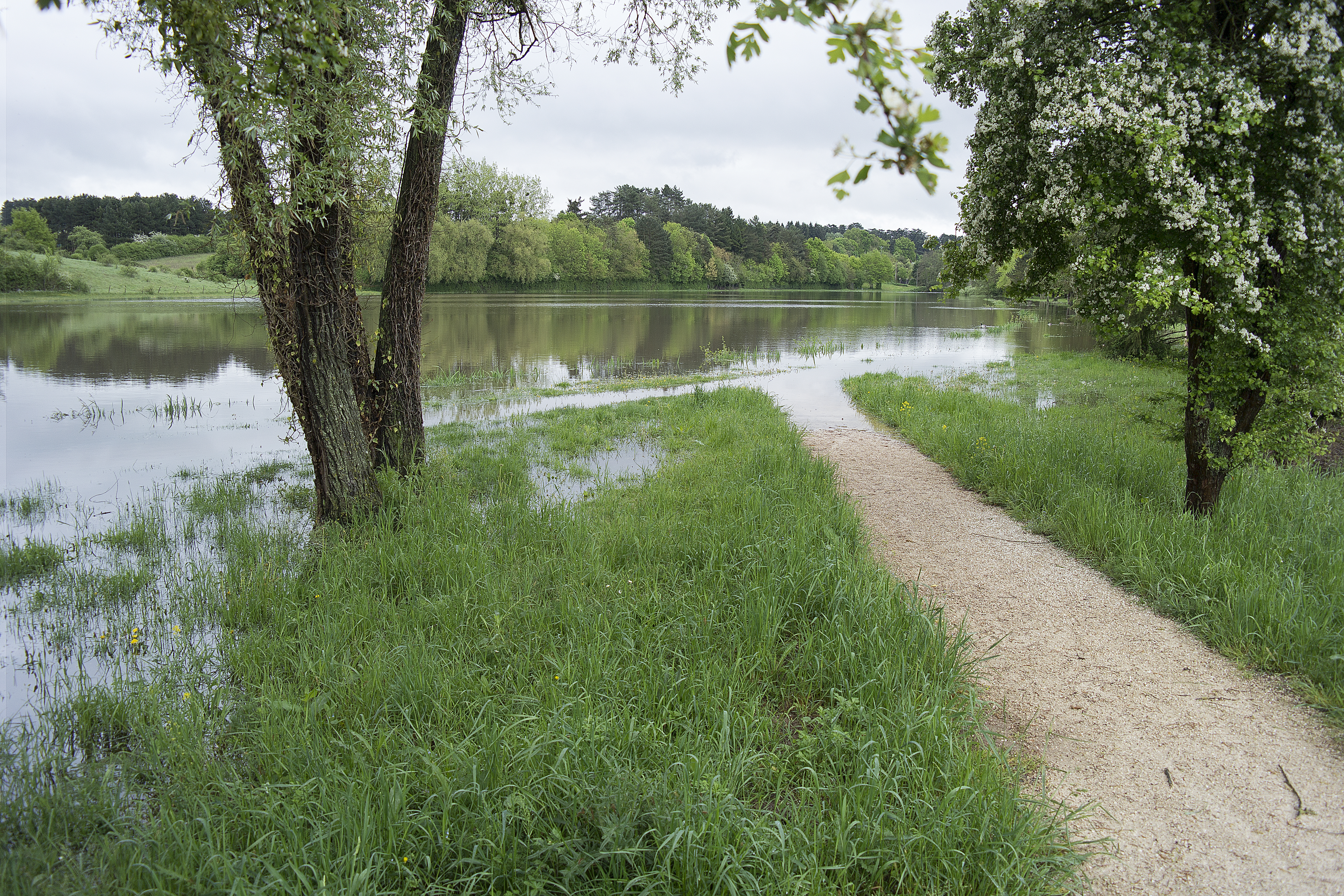 Tour Loire 05 - 201520150503_05034818 als Smartobjekt-1 Kopie.jpg - Schöne Landschaften aber vieles ist durch den langen Regen überflutet